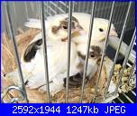 Buon giorno...-dscf1491-jpg