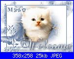 gatta silvestra: Mi presento-extrasgattowelcome-jpg