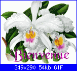 marina1187: Ciao a tutte!-bienvenue_082-gif