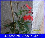 maria sanfilippo: Comunicazione-estate-2010-011-jpg