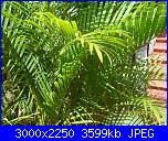 maria sanfilippo: Comunicazione-estate-2010-016-jpg