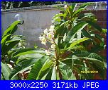 maria sanfilippo: Comunicazione-estate-2010-018-jpg