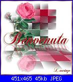 lory77: cercasi stella di natale-118dkxh-jpg