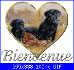 marty10: presentazione-21biwdu-gif