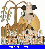 pinuccia57: nuova iscritta-youre-welcome-cow-gif