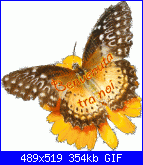 saretta: Ciao a tutte-benvenuta_004-gif