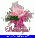 mi presento-benv-rose-rosa-gif