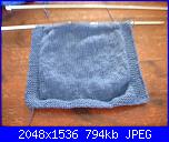 Progetto di settembre: foto dei vostri gilet-immagine-001-jpg