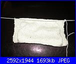 Progetto di settembre: foto dei vostri gilet-dscn3279-jpg