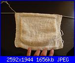 Progetto di settembre: foto dei vostri gilet-dscn3281-jpg