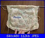 Progetto di settembre: foto dei vostri gilet-p1040856-rev1-jpg