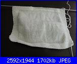 Progetto di settembre: foto dei vostri gilet-dscn3284-jpg