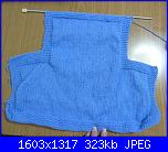 Progetto di ottobre: foto dei vostri gilet-p1050172-jpg