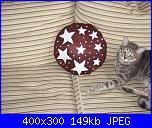 prima volta con feltro!!!-dscf3661-jpg