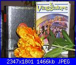 Foto per suggerire un libro-dsci0138-jpg