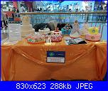 alle cuochine della città di Catania-sam_0365-jpg