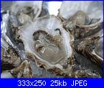 menù pasquale-oyster-jpg