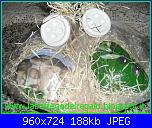 La Bottega del Regalo-208429_524768954232963_1042185951_n-jpg