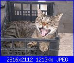 SAL UFO , dei lavori dimenticati o abbandonati-624-jpg