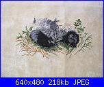 Sal Ufo 2015-avanz-panda-1-jpg