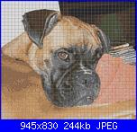 Sal "Un sogno nel cassetto..." ricamo-sara-pattern-prova-jpg