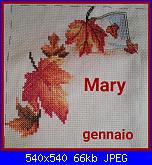 Sal "Un sogno nel cassetto..." ricamo-gennaio-jpg