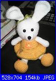 Sal Amigurumi "Ti abbiglio il coniglio"-p2270027-jpg