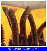 SAL amigurumi Dolce Halloween-2017-10-10_11-11-52-jpg