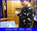 Sal Aspettando il Natale - 5° parte - Sal Culinario-20181213_180333-jpeg