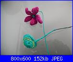 SAL piantina a uncinetto-dscn1954-jpg