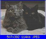 Sal ufo 2026-1769762129906-16d7e852-cdb6-42cf-b7d5-353c605882de_1-jpg