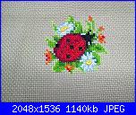 SAL Impariamo a fare un pinkeep-cocinella-pinkeep-jpg