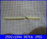 Sal: Impariamo il piccolo punto-020-jpg