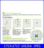 Impariamo il punto croce con retro perfetto-1-jpg