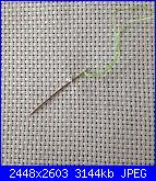 Impariamo il punto croce con retro perfetto-img_0219-jpg