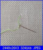 Impariamo il punto croce con retro perfetto-img_0221-jpg