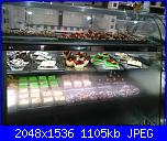 Sal impariamo a..." Conoscere la nostra macchina da cucire"-20160528_202940-jpg