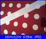 Sal "Cuciamo insieme un portatorte"-2016-10-05-17-36-55-jpg