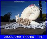 Sal Tilda: La lumachina-sam_4618-jpg