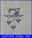 Sal Cuciamo insieme un "coprimacchina"-20170705_120746-jpg