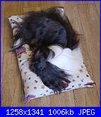 SAL Copricuscino senza cerniera-20180304_173916-jpg