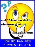 Sal "Mistero della ricamatrice"-punto-interrogativo-2-jpg