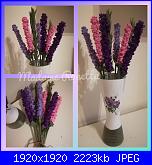 Sal un fiore per te: Lavanda e ........-inshot_20190526_172636029-jpg