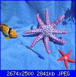 Categoria Amigurumi-piovra-1-jpg