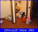 ragazze sono stata contagiata !!!-dsc02381-jpg