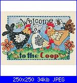 Galli e galline-88651-jpg