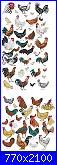Galli e galline-59-chickens-jpg