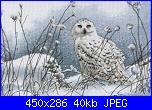 Gufi-dimensions-35221-northwind-owl-jpg