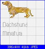 Cani-cachorro_23-jpg