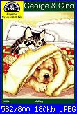 Schemi e cani e gatti-cats-dogs-friends_8-jpg